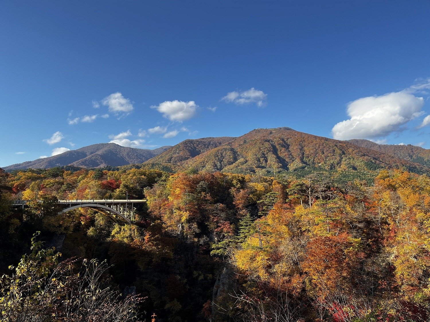 🏞️ 조카이산 호코타테 전망대 이미지 6